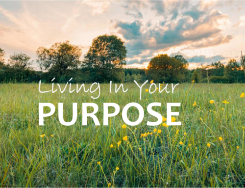 LIVING IN YOUR PURPOSE